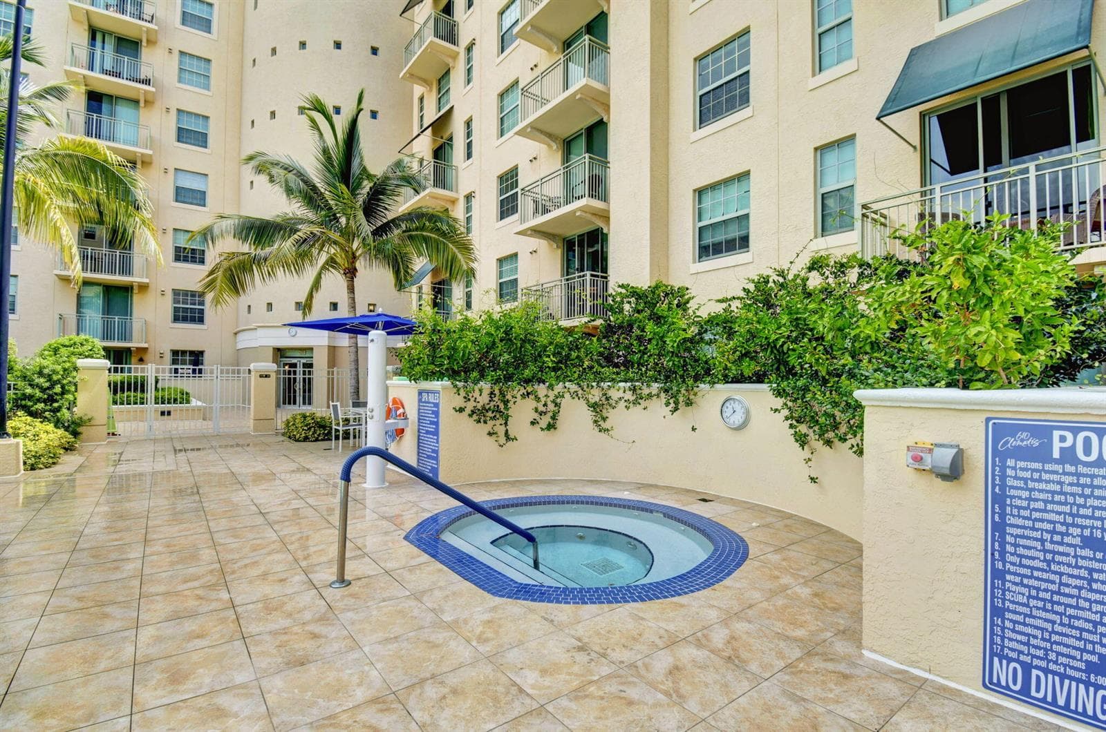 65-web-or-mls-34_610 clematis (7)