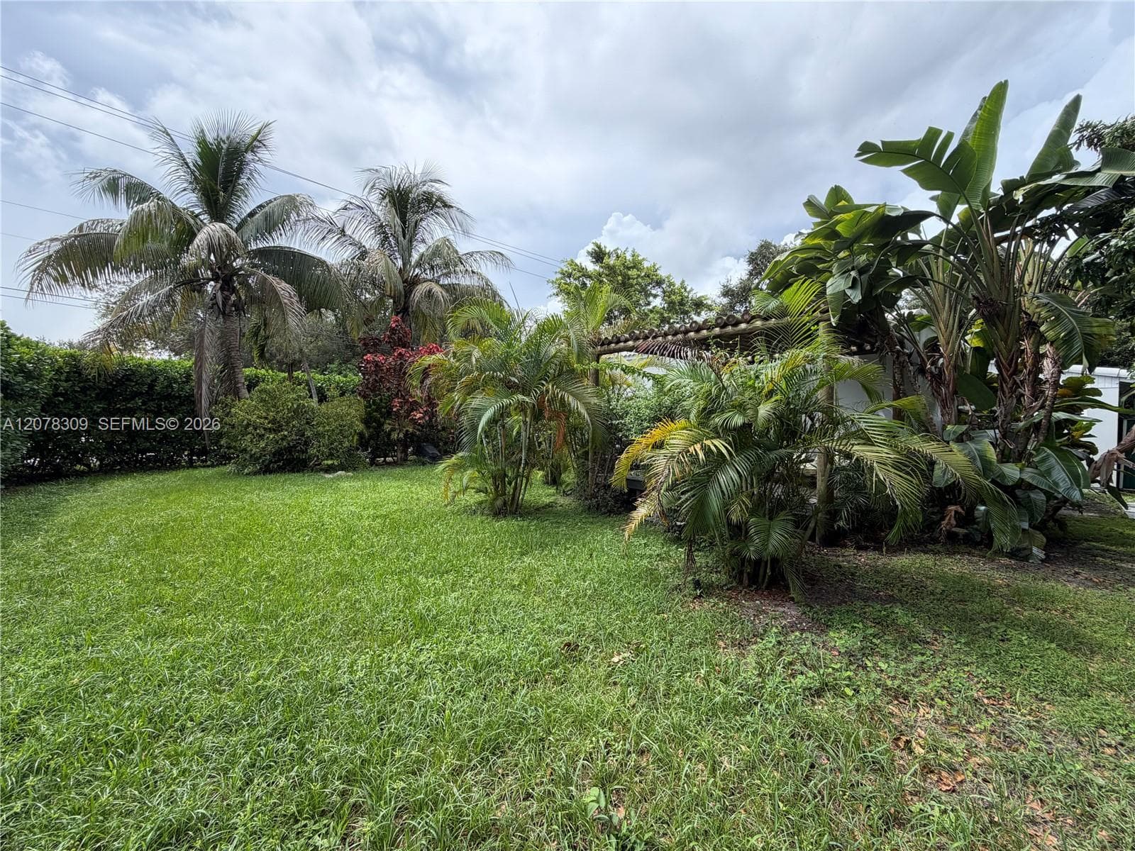 12015 NE 10 Av photo 41