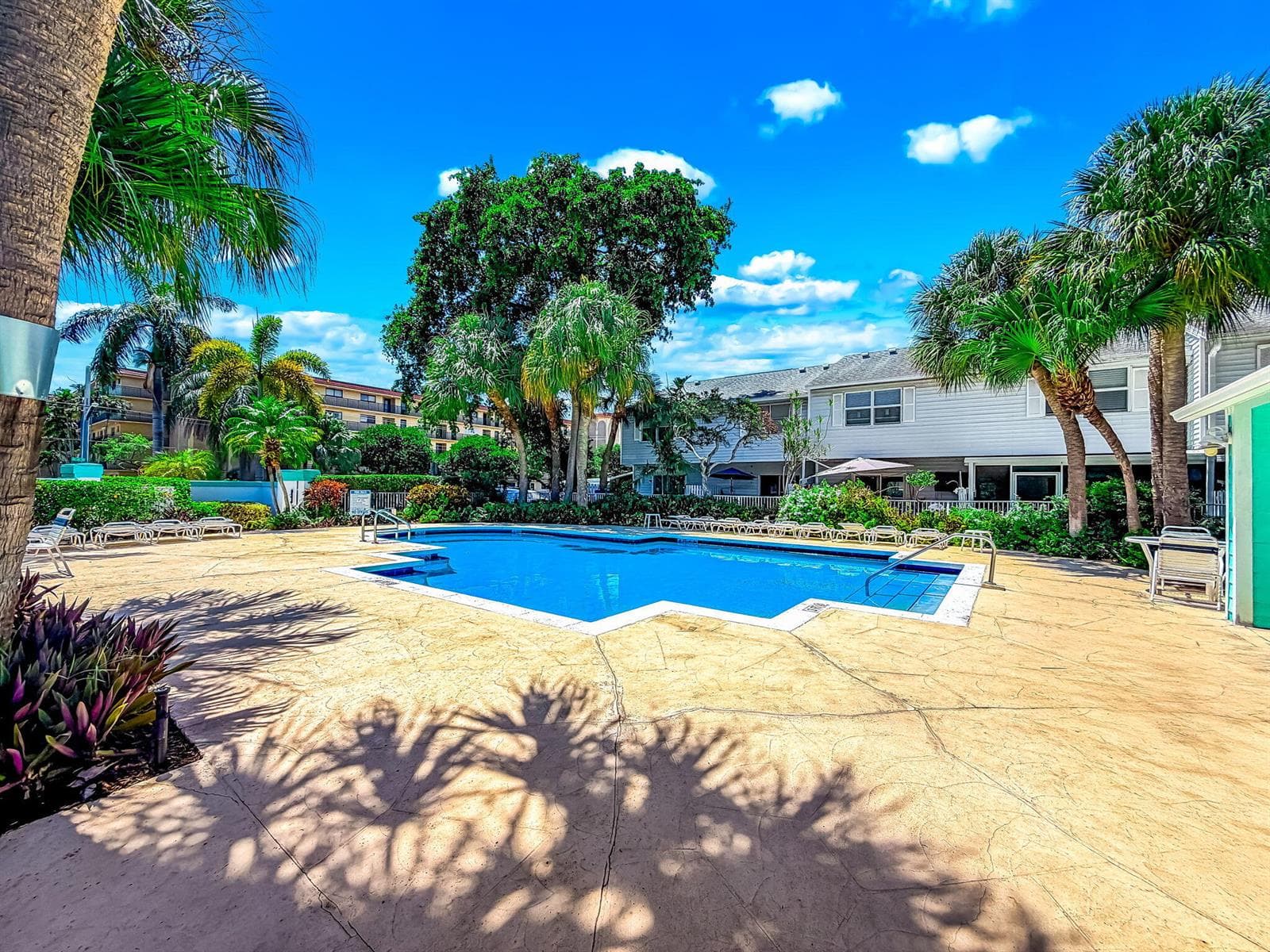 42-web-or-mls-JOY_053970