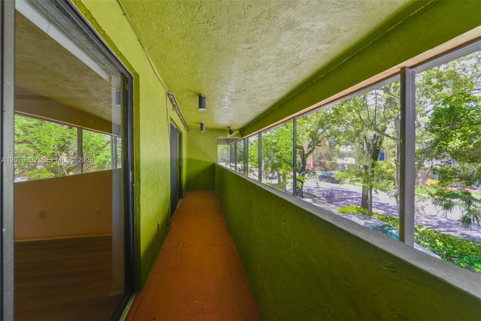 TREETOP TOWERS CONDO · #D in South Miami - Photo 3