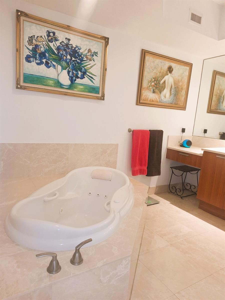 Master bathroom tub