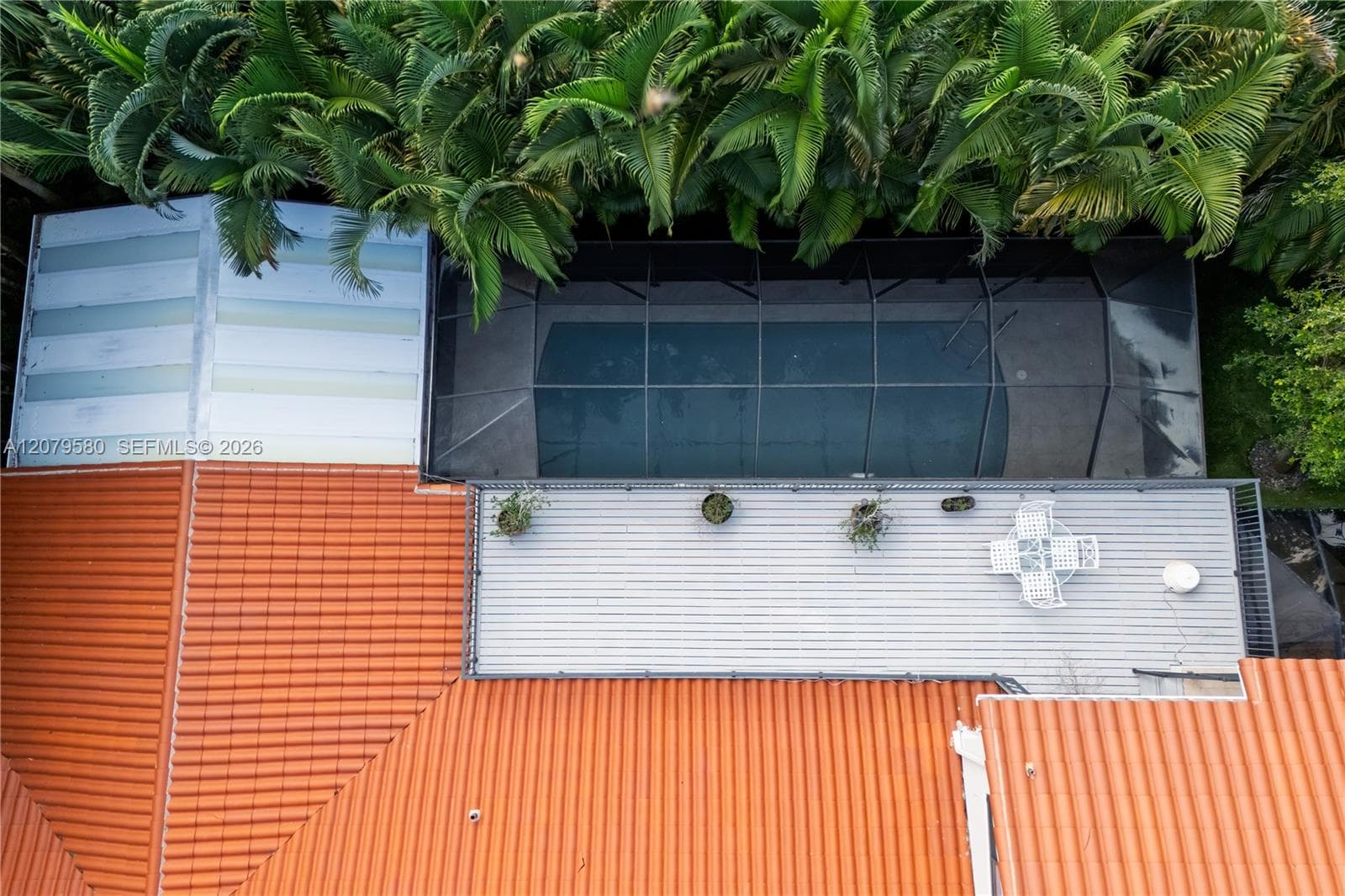 Aerial perspective of a clay tile roof, screened-in swimming pool, and an elevated composite deck surrounded by mature palm trees