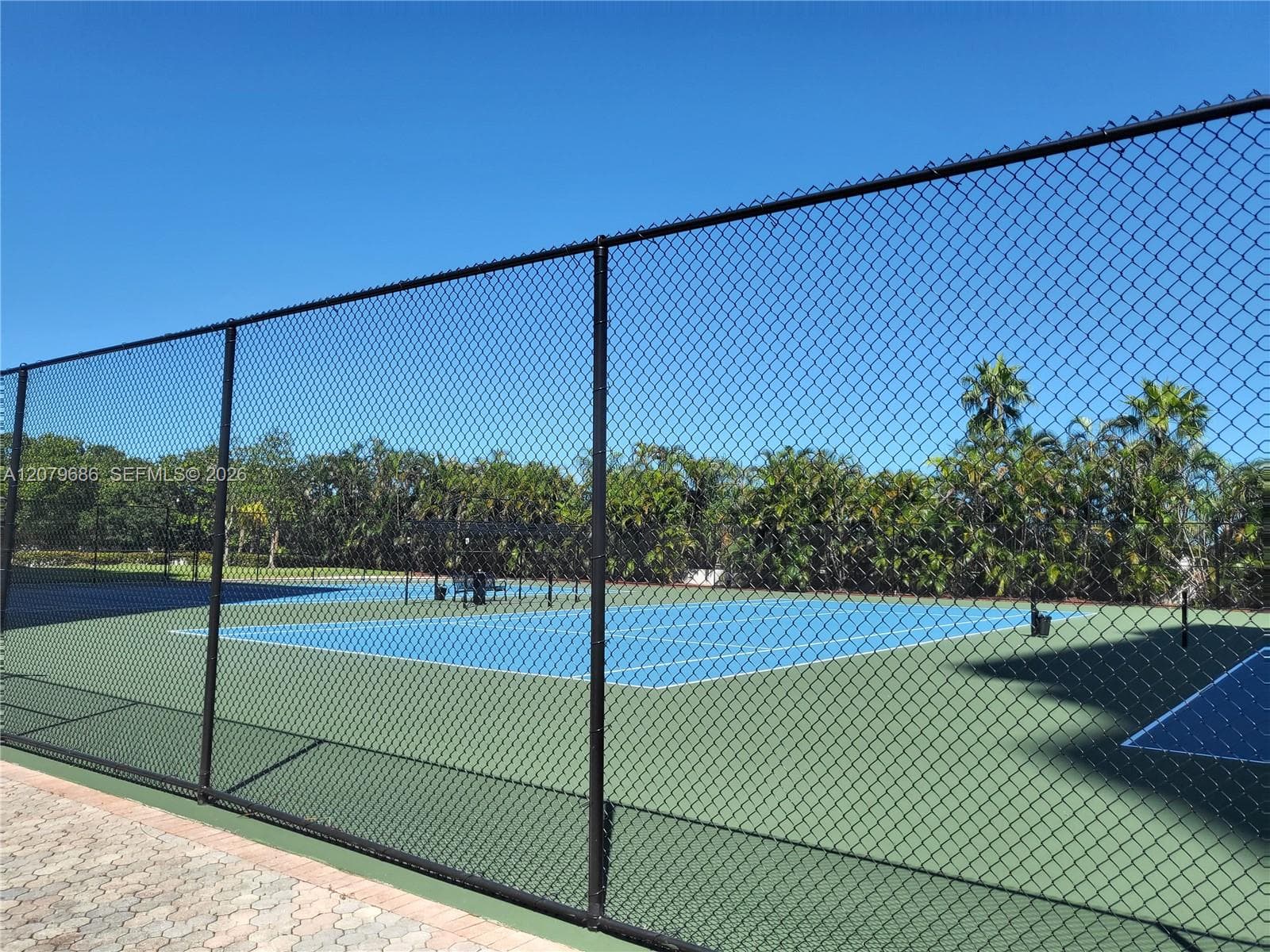 OLYMPUS · #118 in Hallandale Beach - Photo 24