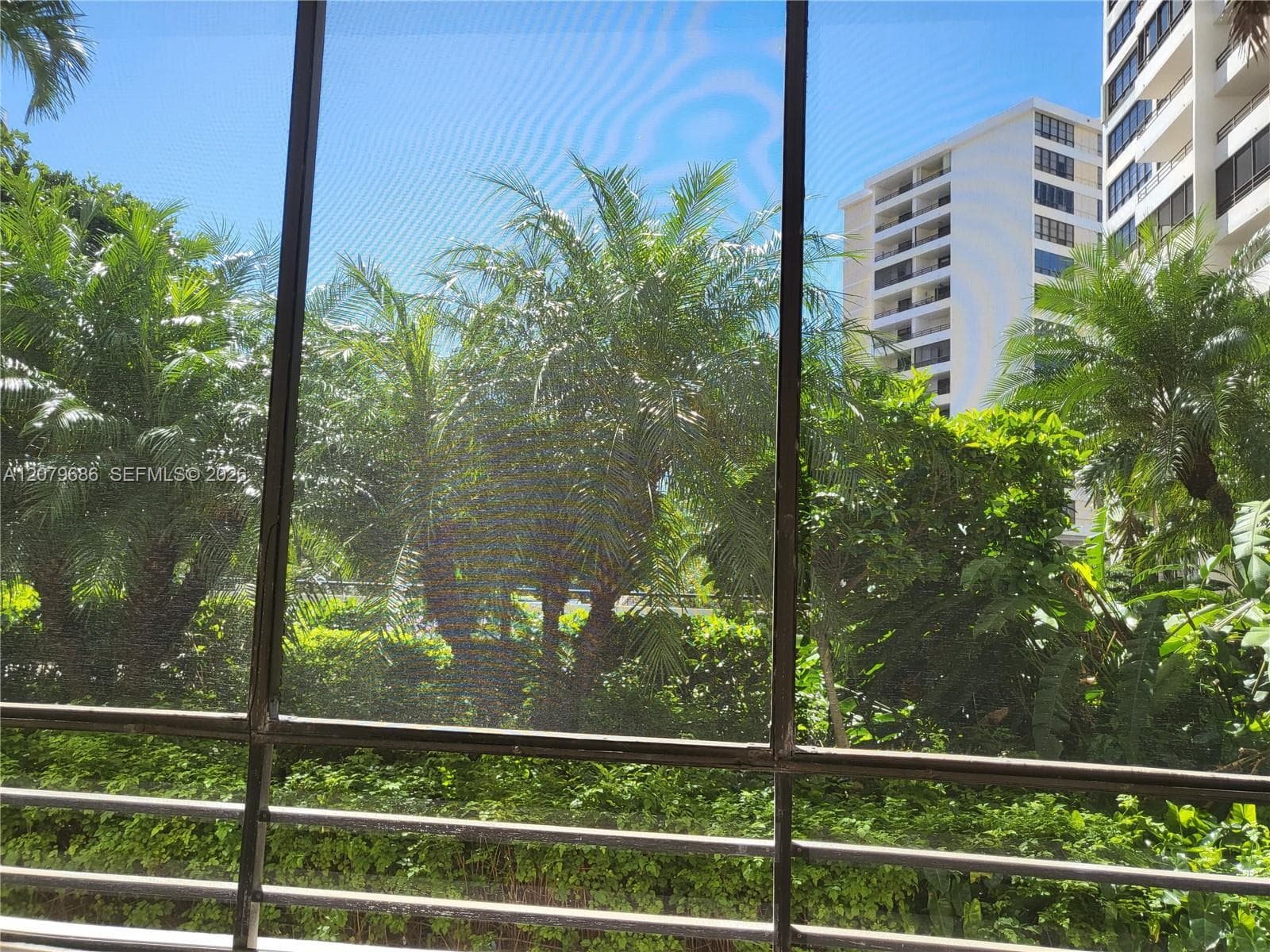 OLYMPUS · #118 in Hallandale Beach - Photo 14