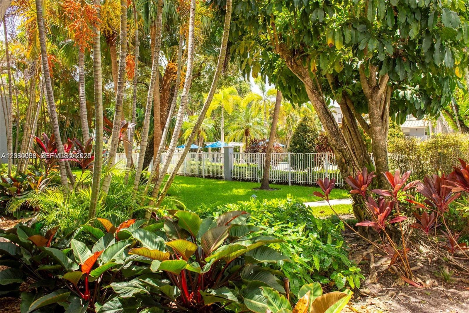 Sunwood · #248 in Miami - Photo 4