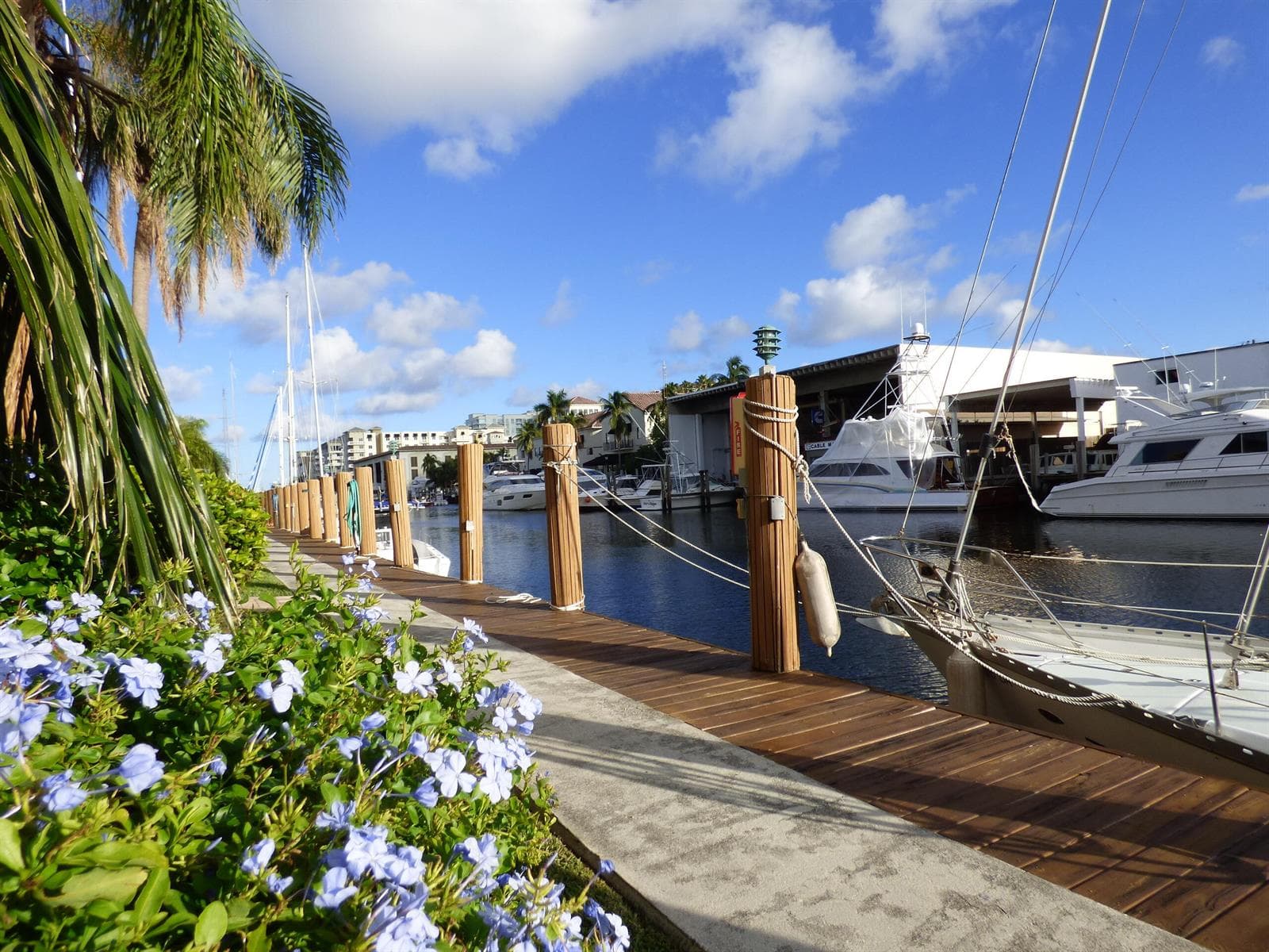 Common Dockage when available