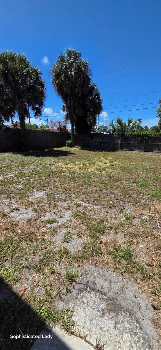 Back yard