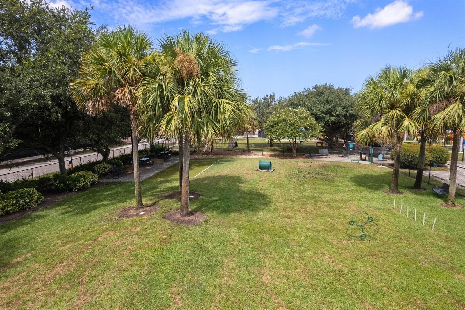 Dog Park