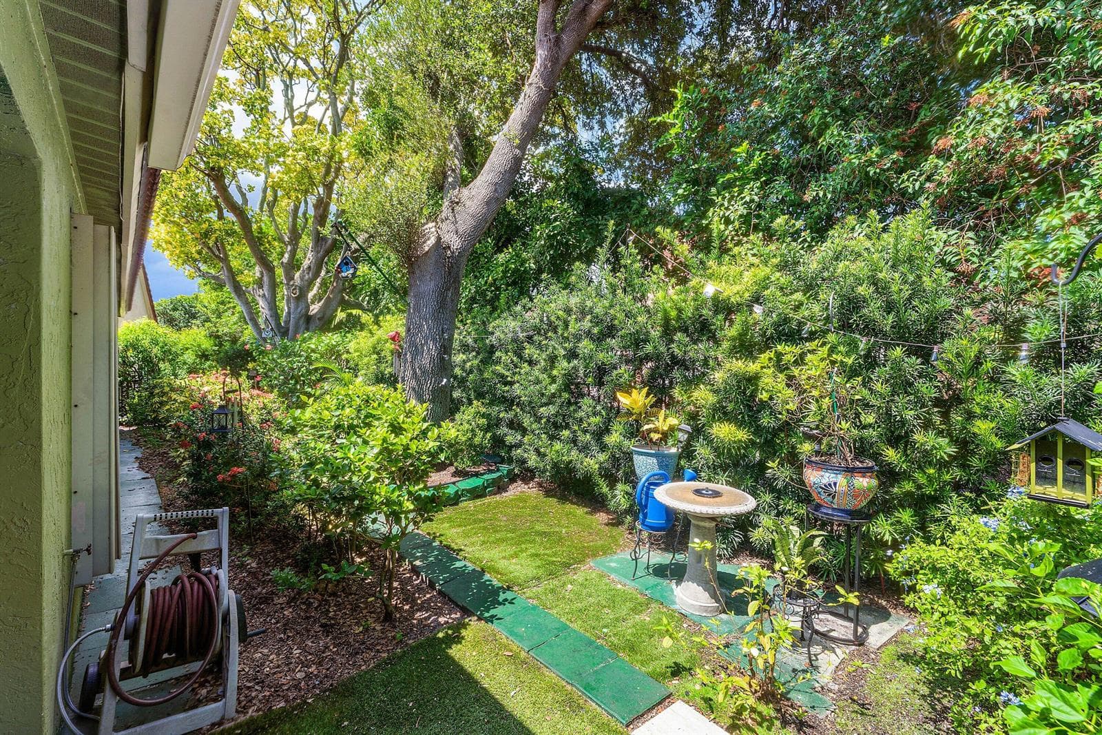 Yard