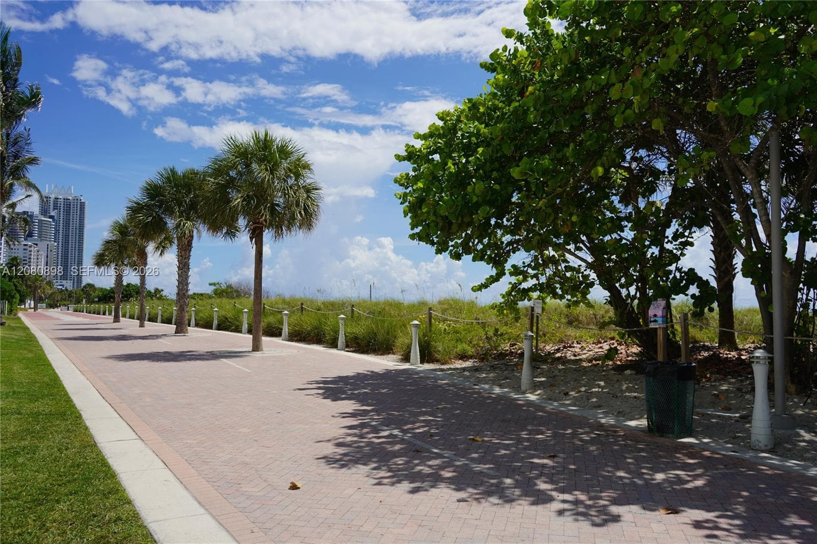 boardwalk