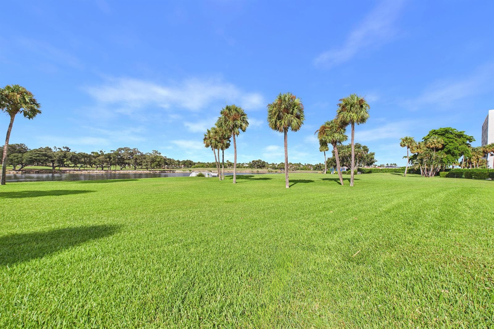 Open Lawn Area