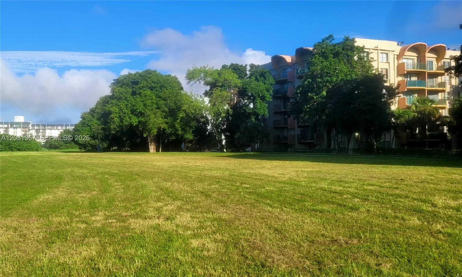 Expansive green space featuring mature trees and level terrain