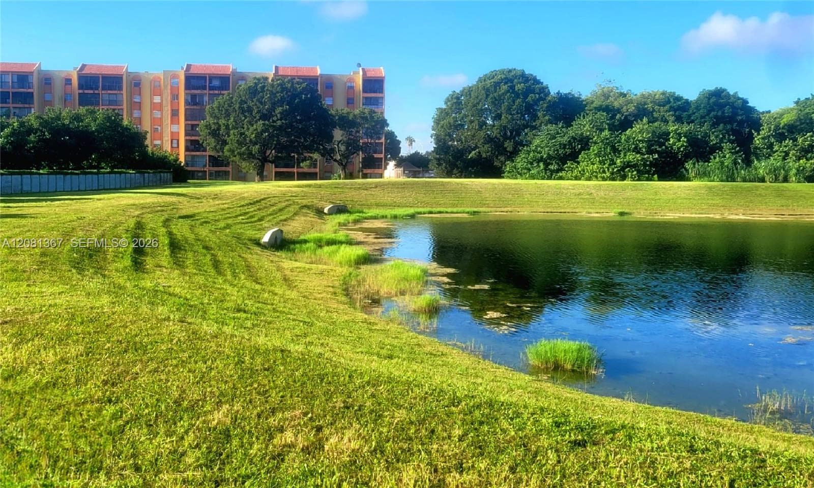 Expansive green space featuring a natural pond, manicured lawn, scattered rock accents, and mature trees