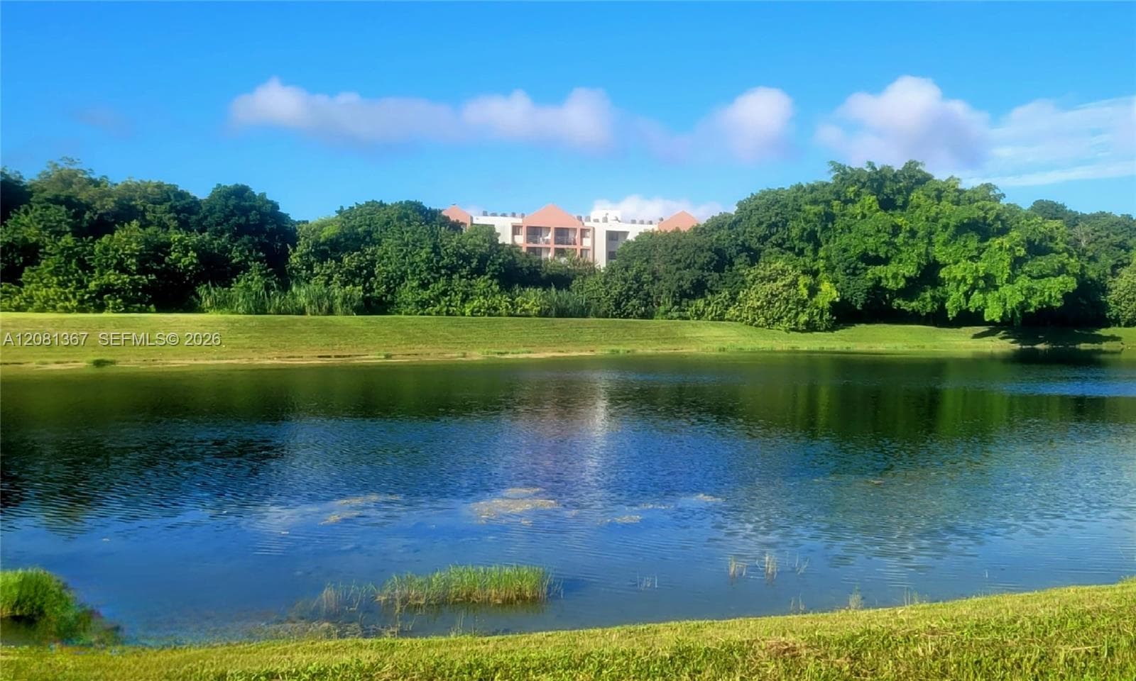 Waterfront property featuring a grass embankment, mature perimeter trees, and a clear pond