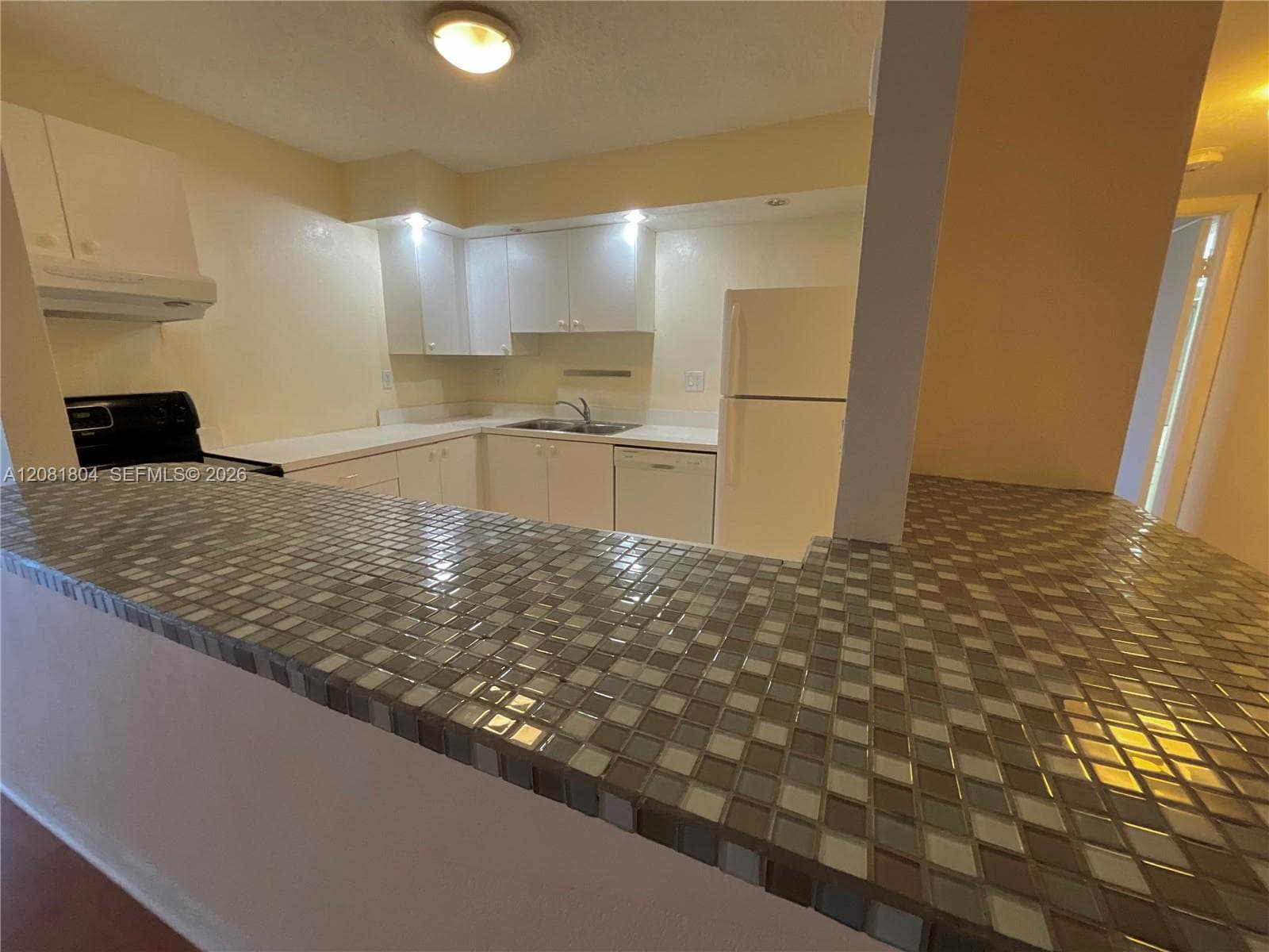 DESOTO PARK NORTH CONDOS · #507 in Hallandale Beach - Photo 12