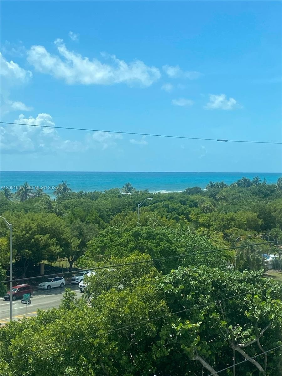 Coastal horizon featuring expansive ocean waters and mature tropical vegetation