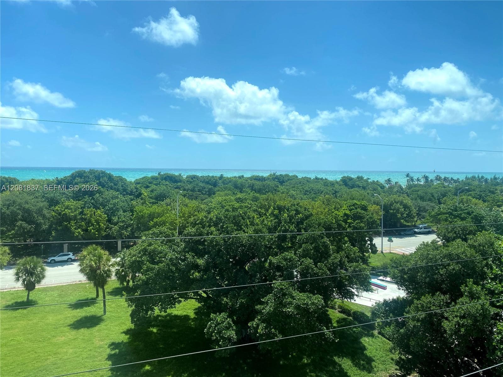 Expansive coastal scenery featuring a horizon of ocean waters, mature tree canopy, and green space