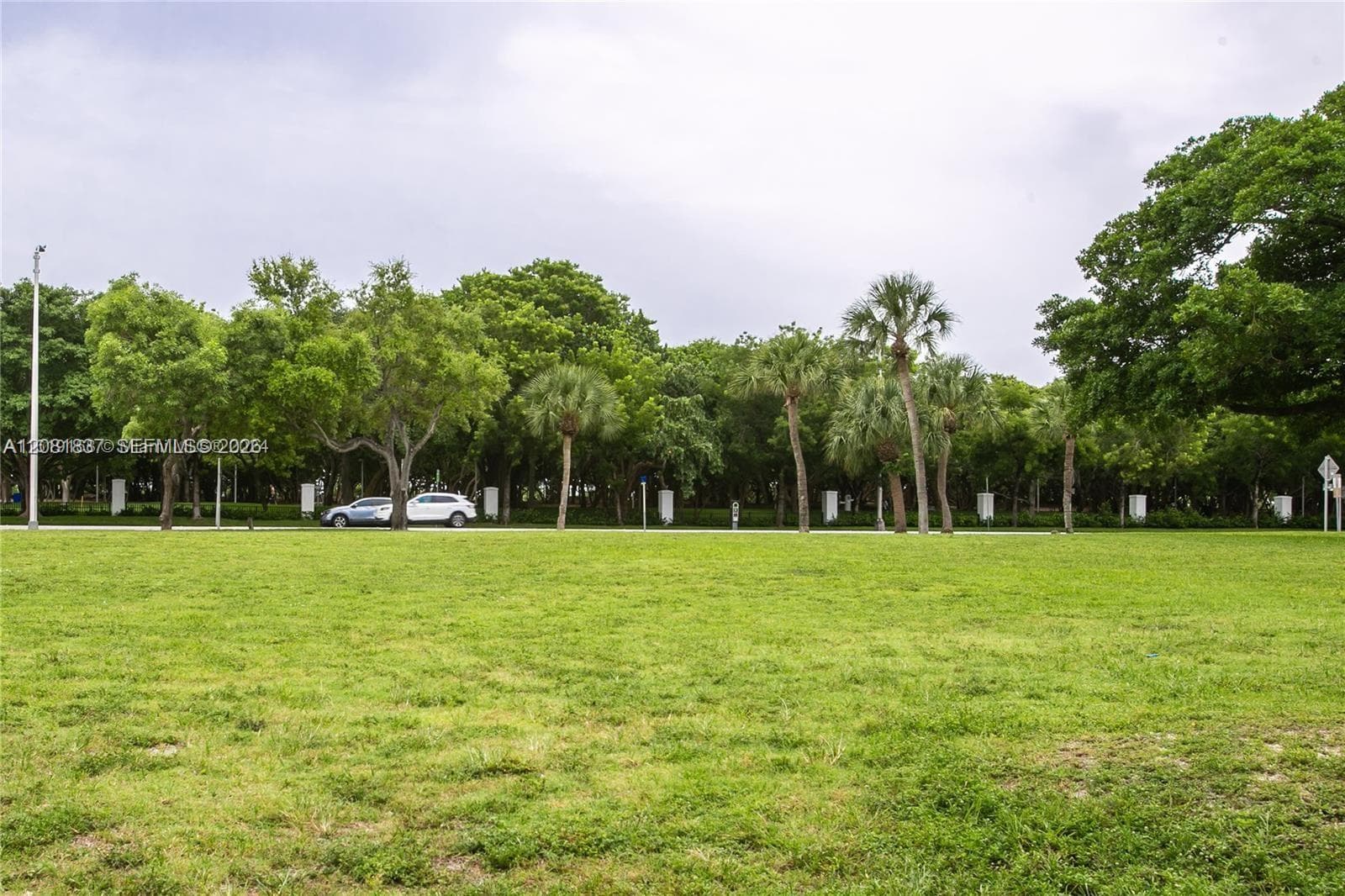 Expansive lot featuring mature trees, diverse native vegetation, and open green space