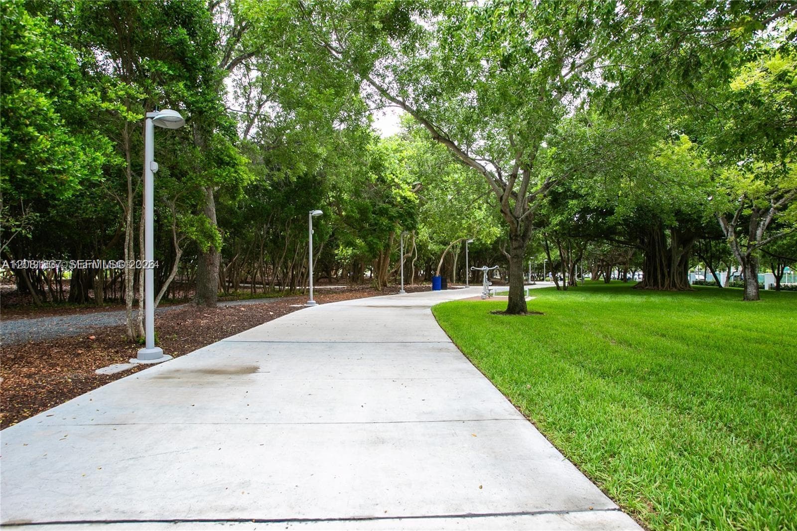 Concrete paved walkway featuring mature canopy trees, manicured lawn areas, and ground-level pole lighting