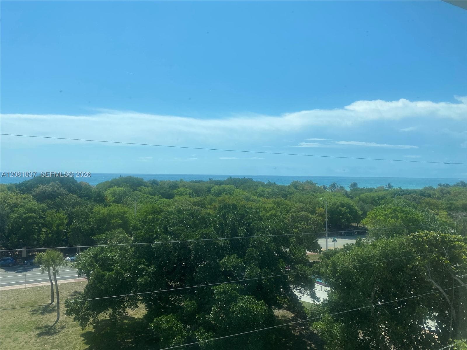 Elevated perspective featuring ocean water, dense foliage, and open sky