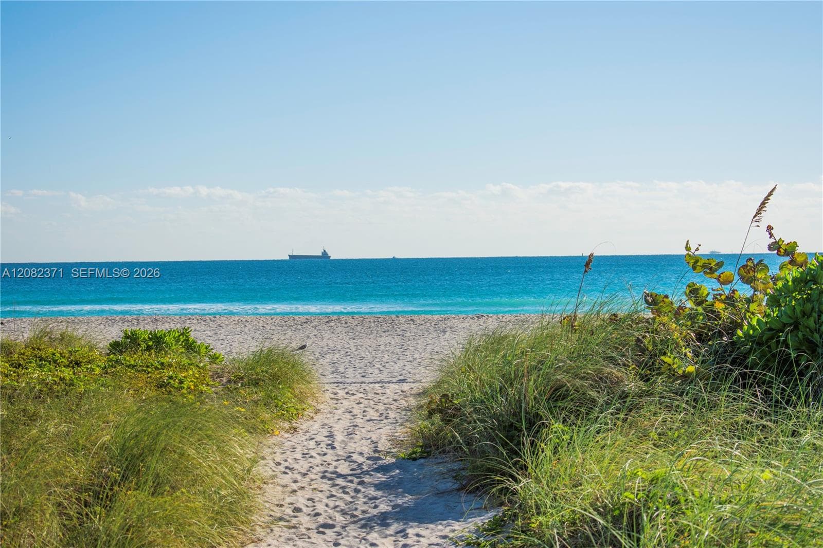 South Beach Sands