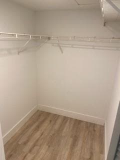 main bedroom closet
