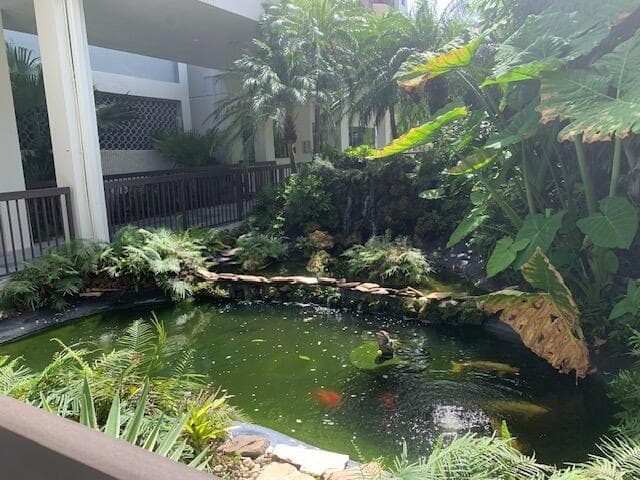 Koi Pond