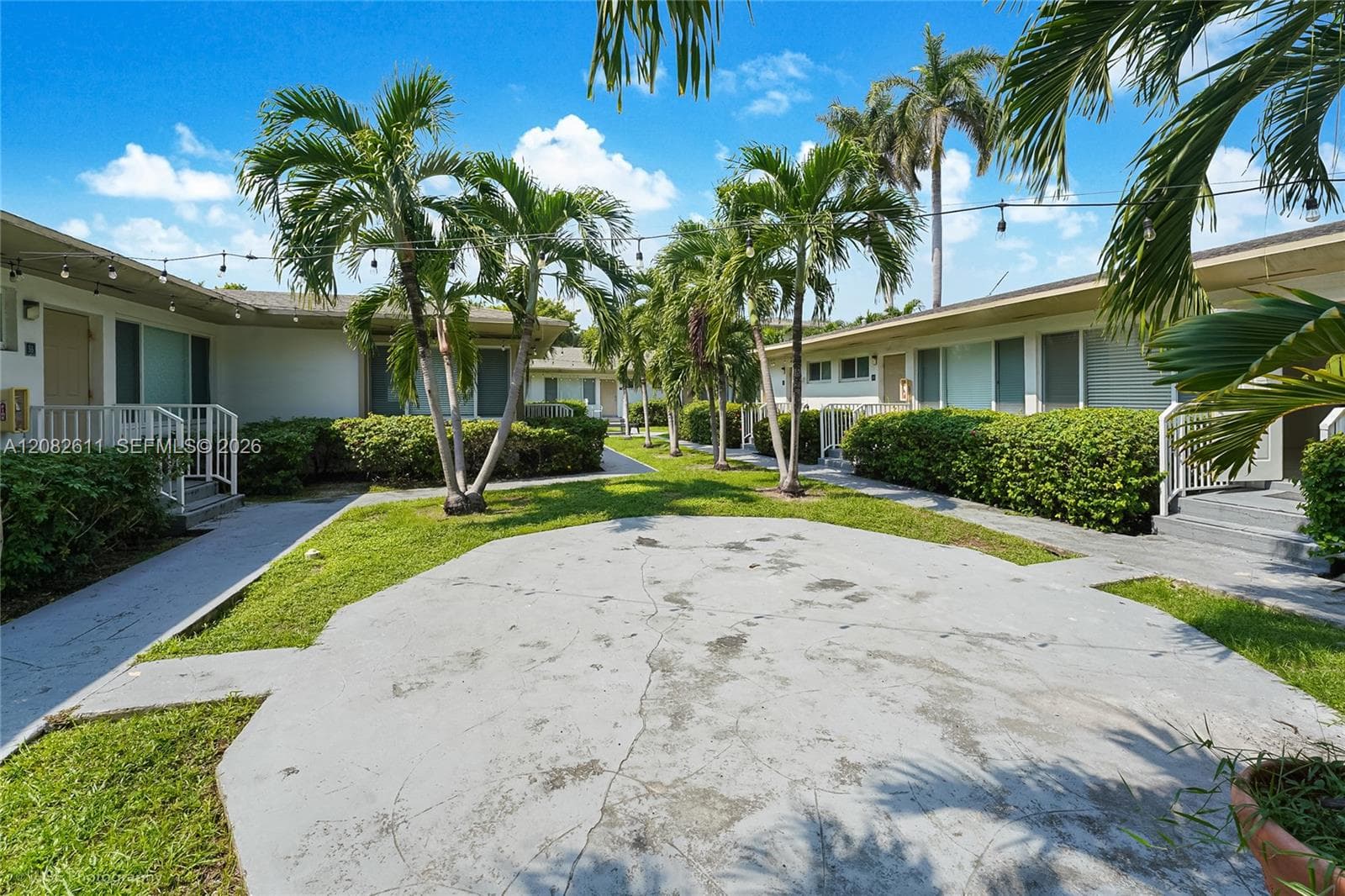 Courtyard featuring a concrete patio, landscaped greenery, mature palm trees, and overhead string lighting