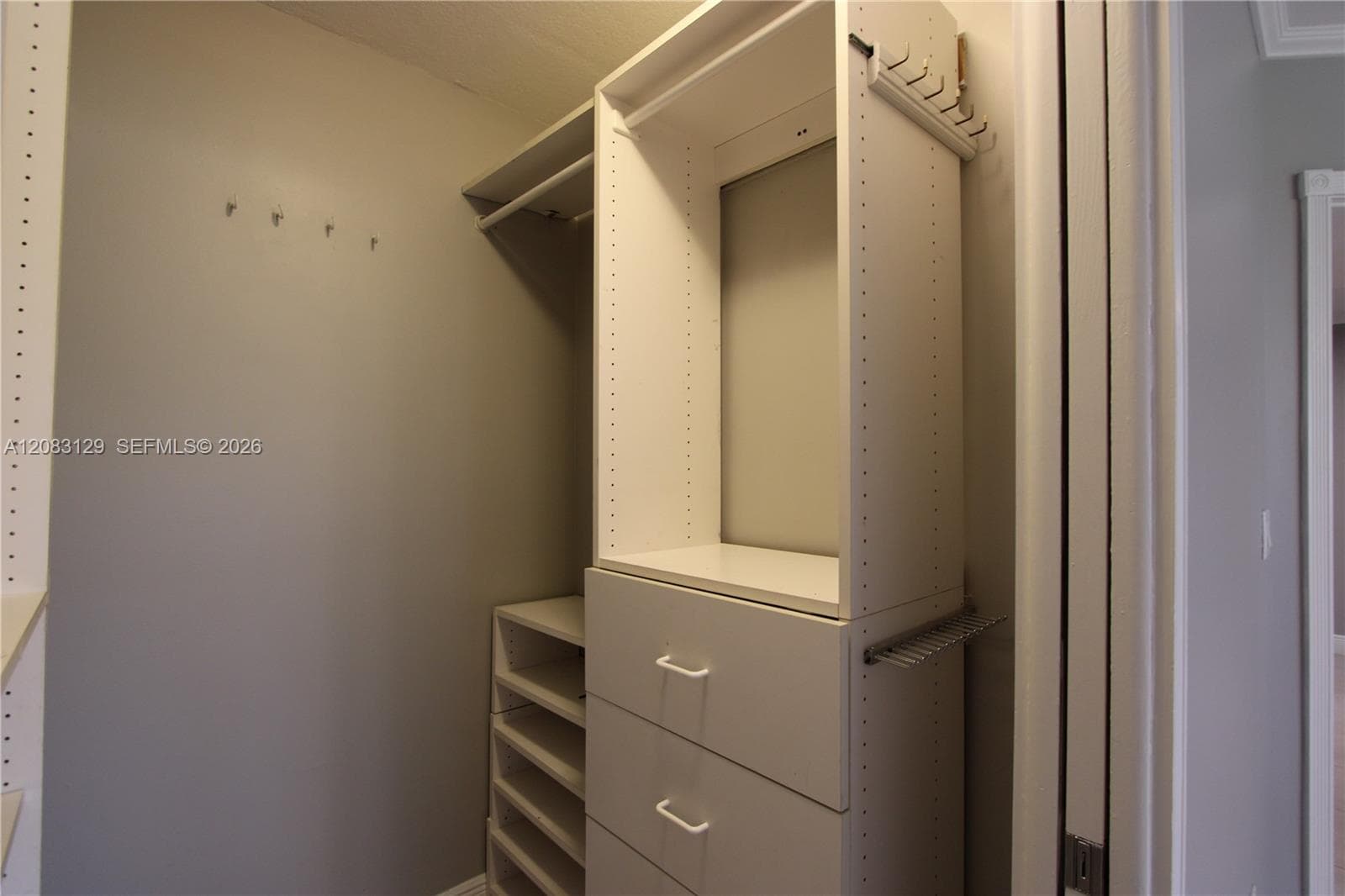 Master walk in closet