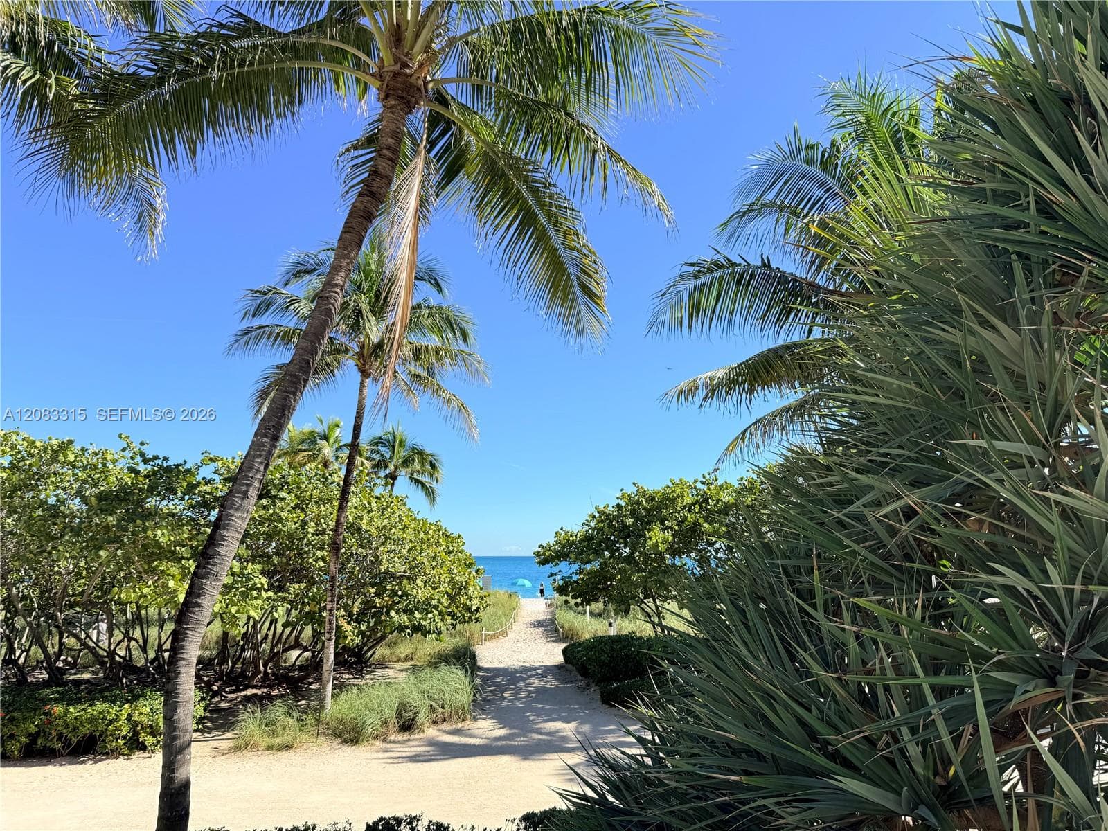 THE PLAZA OF BAL HARBOUR · #822 in Bal Harbour - Photo 3