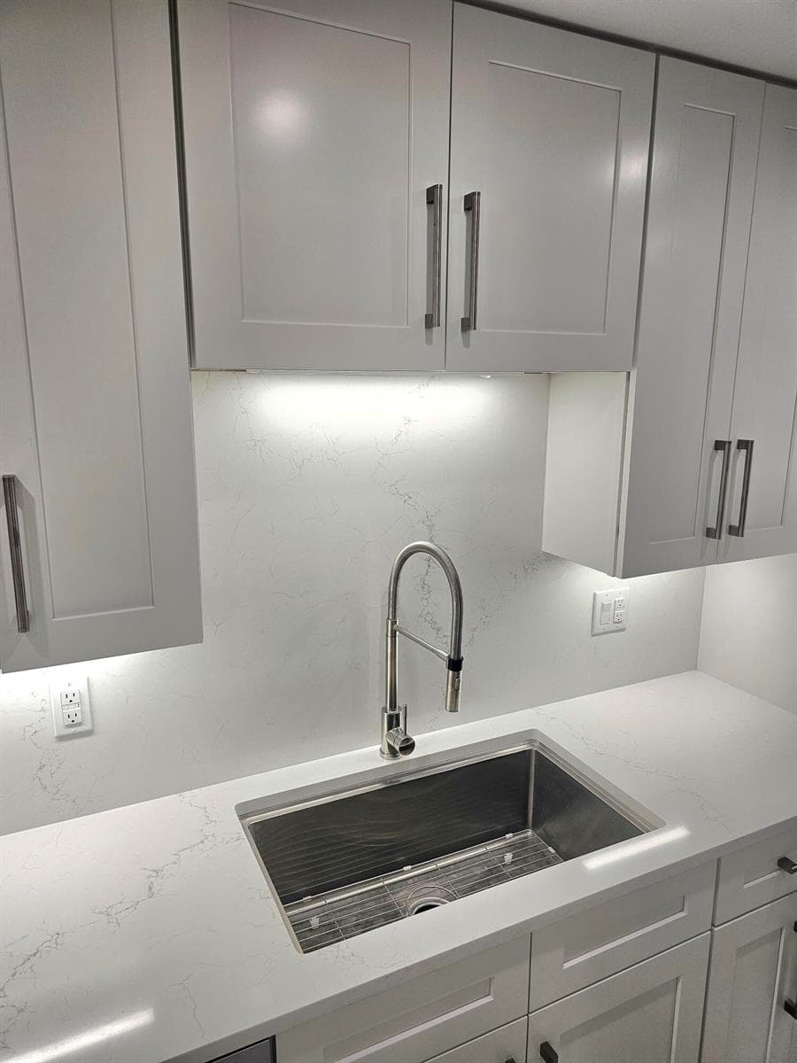 Gourmet SS Sink