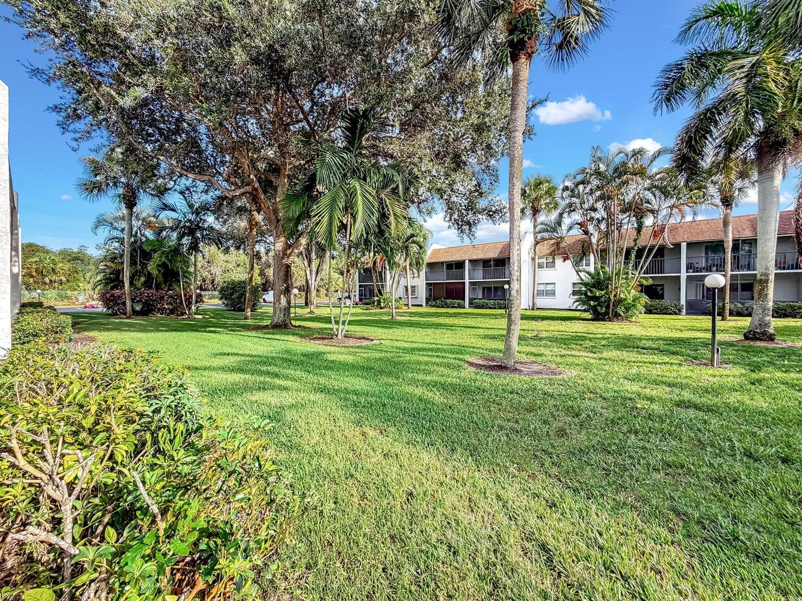 59-web-or-mls-JOY_054785