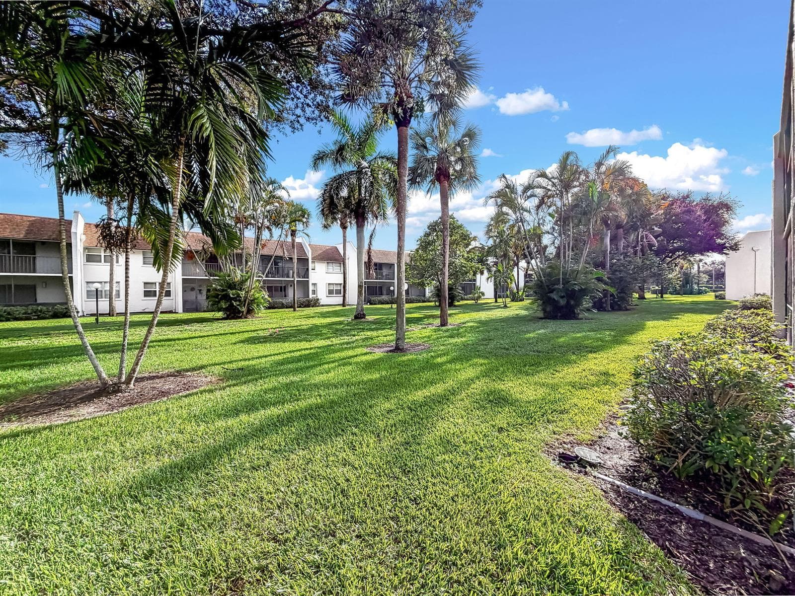 63-web-or-mls-JOY_054805