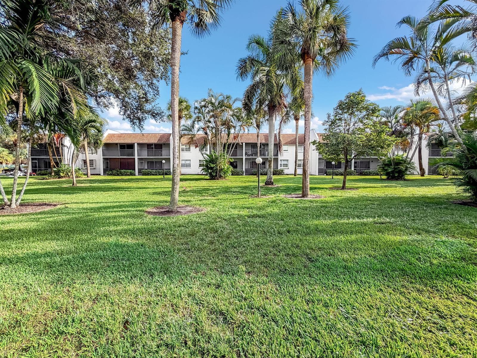 58-web-or-mls-JOY_054780