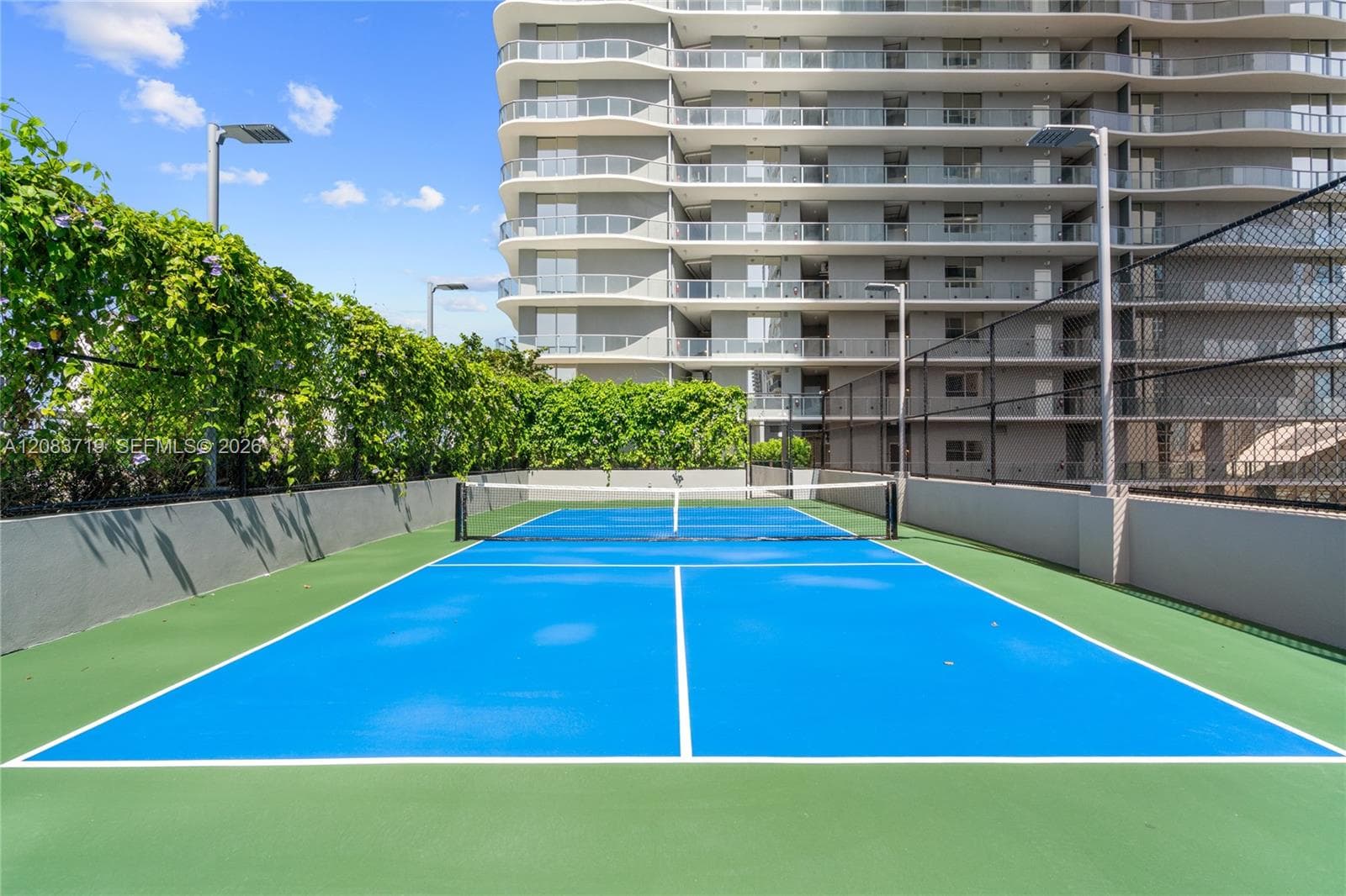 Pickle Ball Court