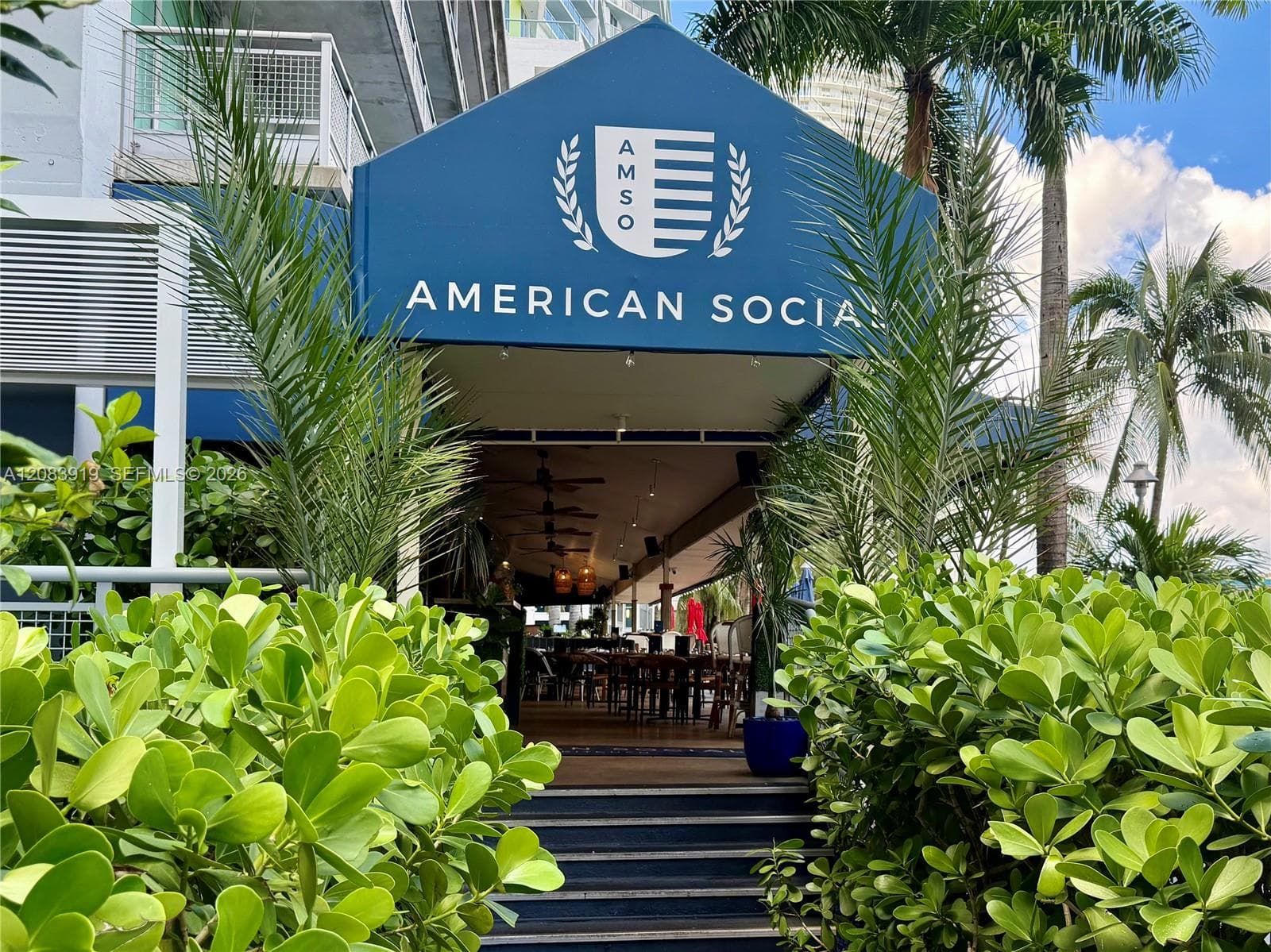 American Social