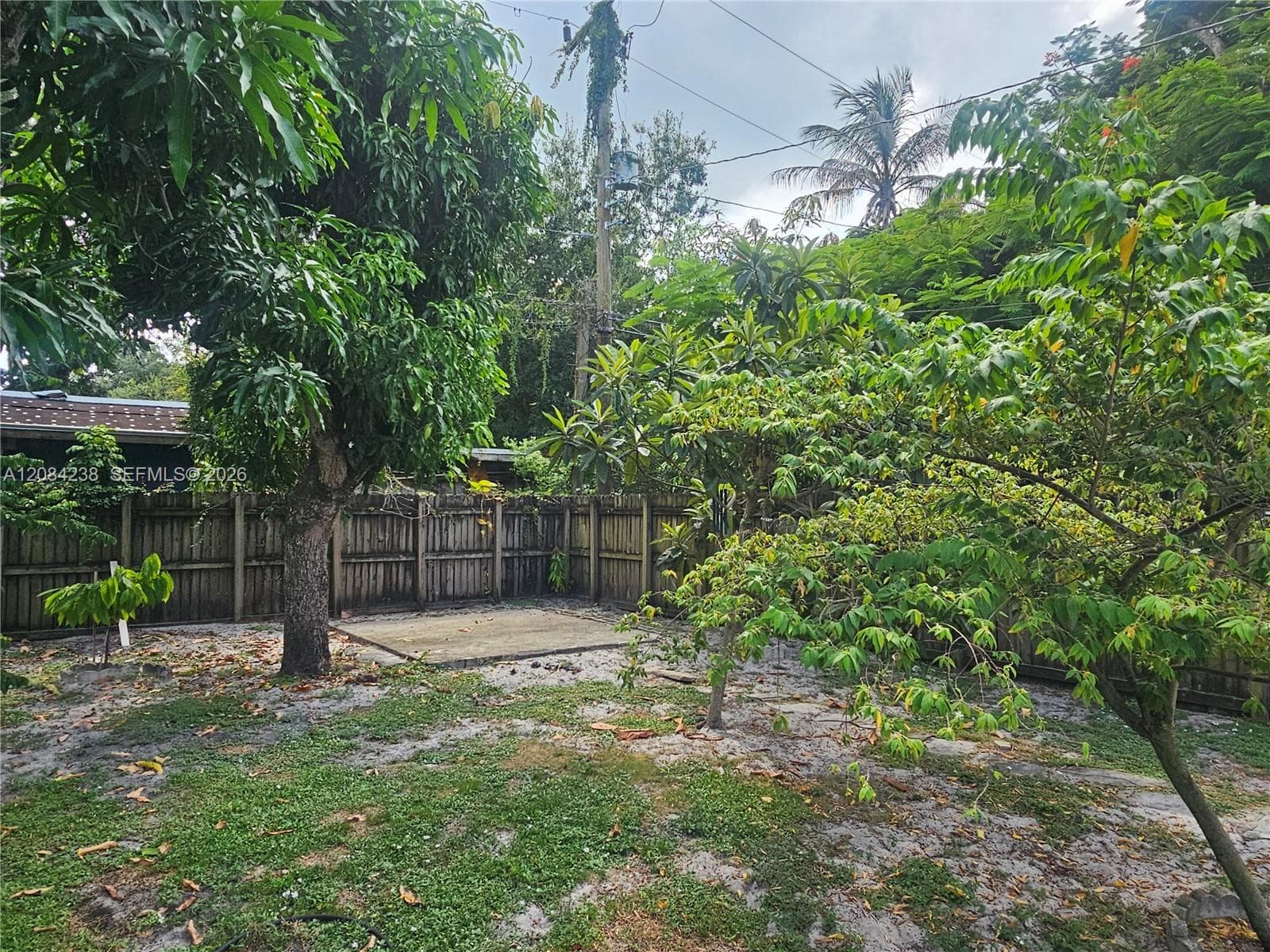12145 NE 11th Ct photo 14