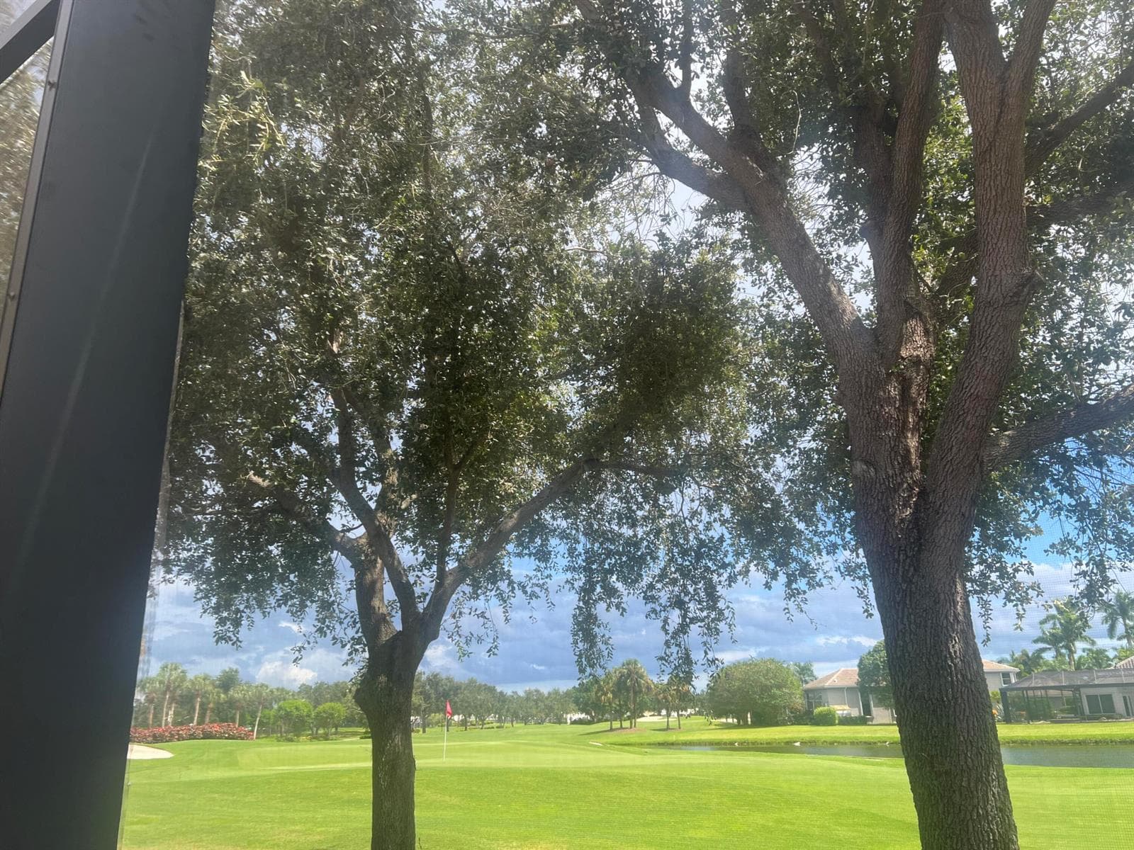 Back Yard View