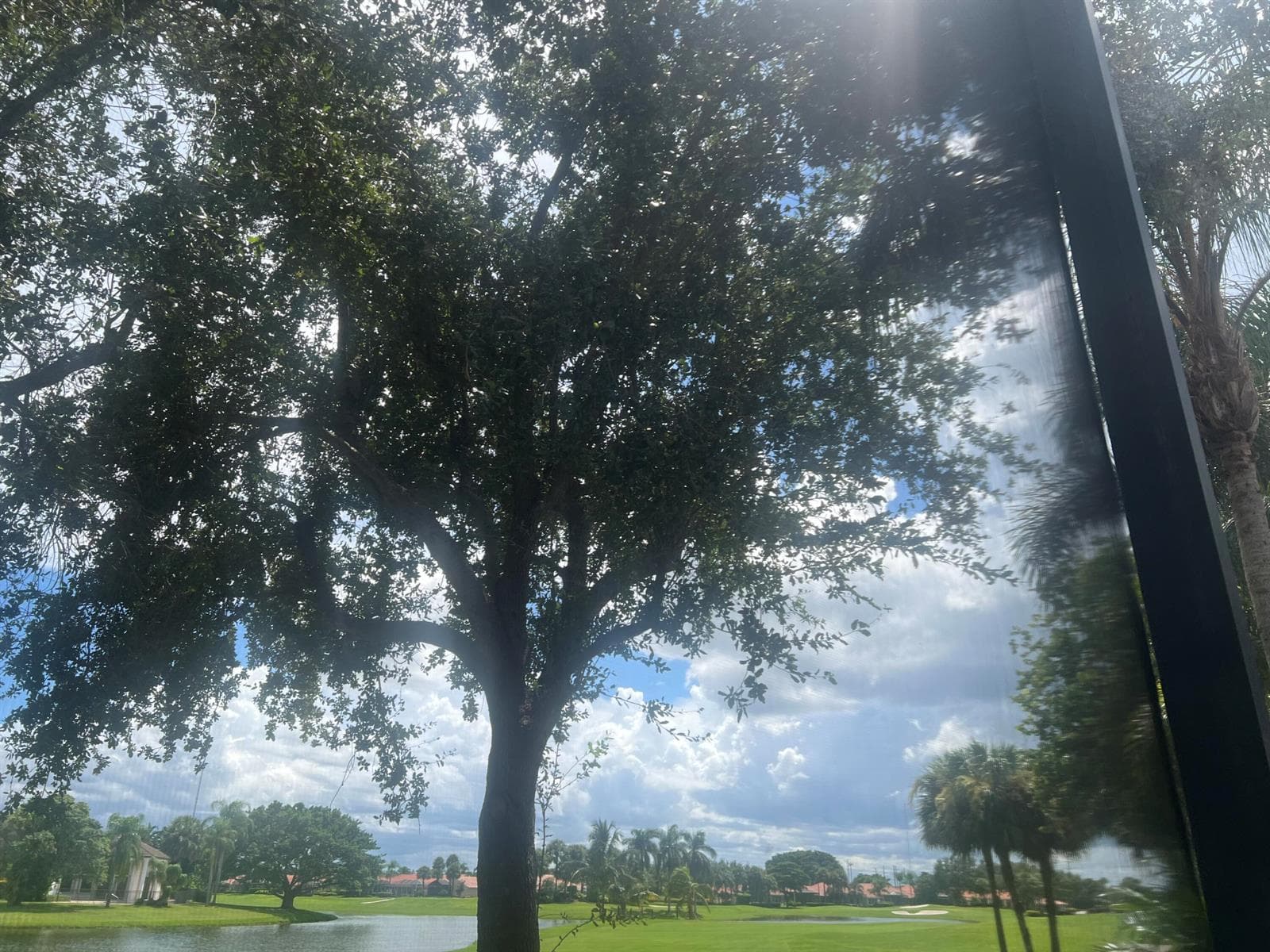 Back Yard View