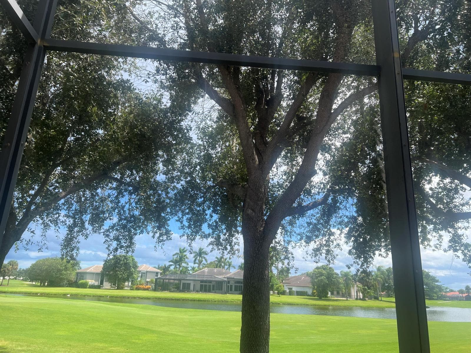 Back Yard View