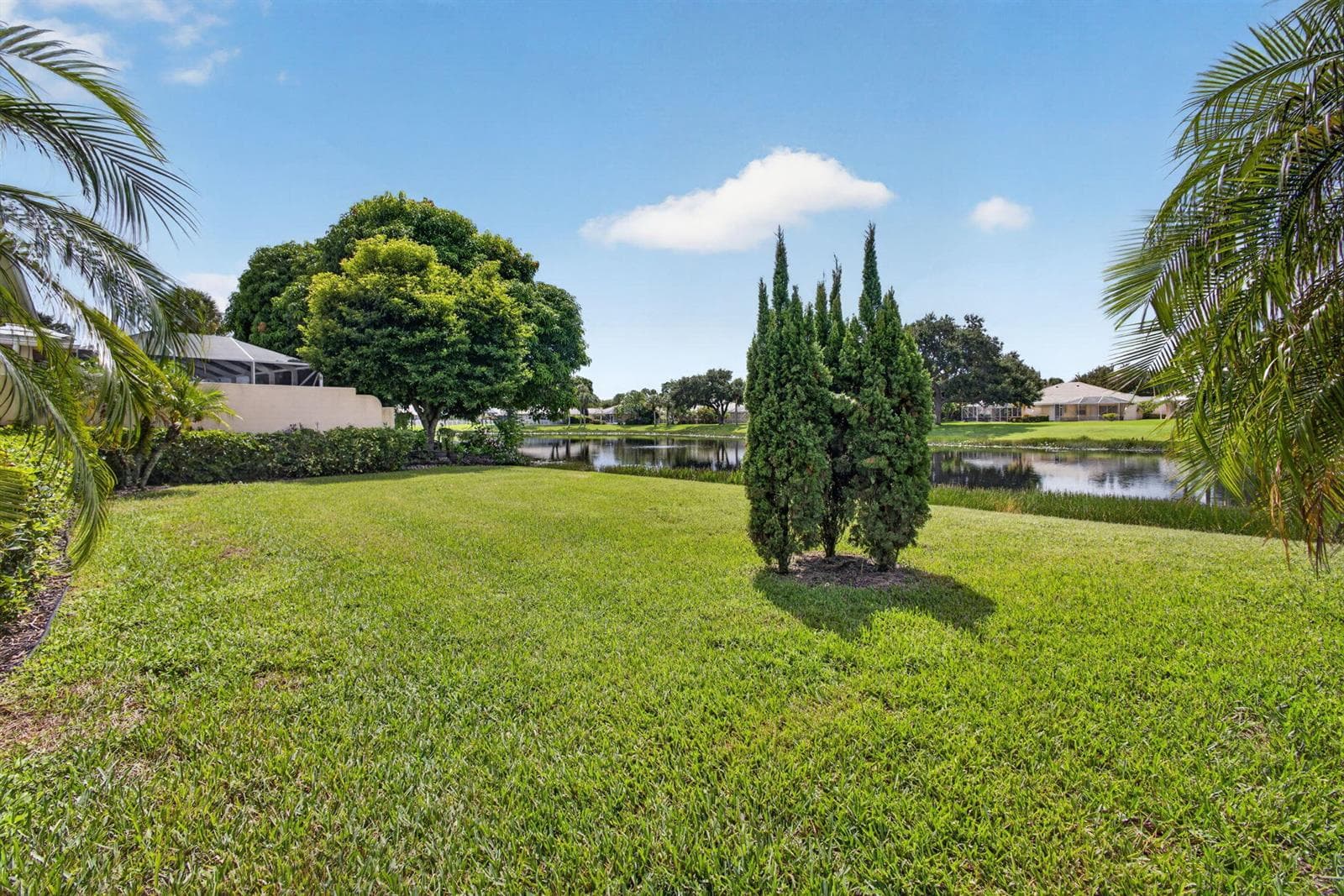 63-web-or-mls-5D1A7597