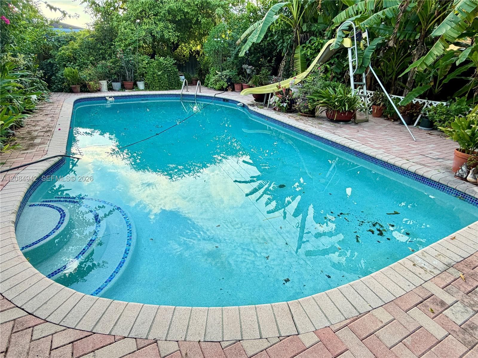 In-ground swimming pool with brick paver decking, curved entry steps, and lush surrounding foliage