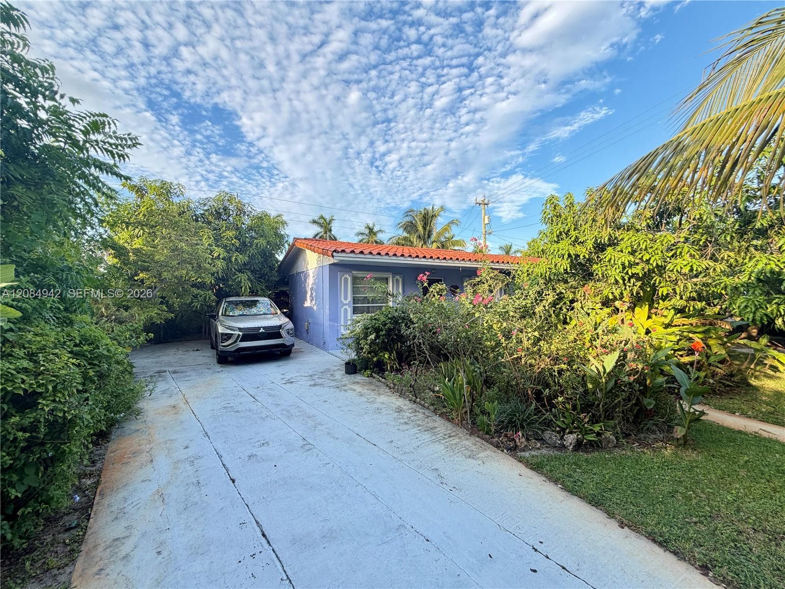 Concrete driveway