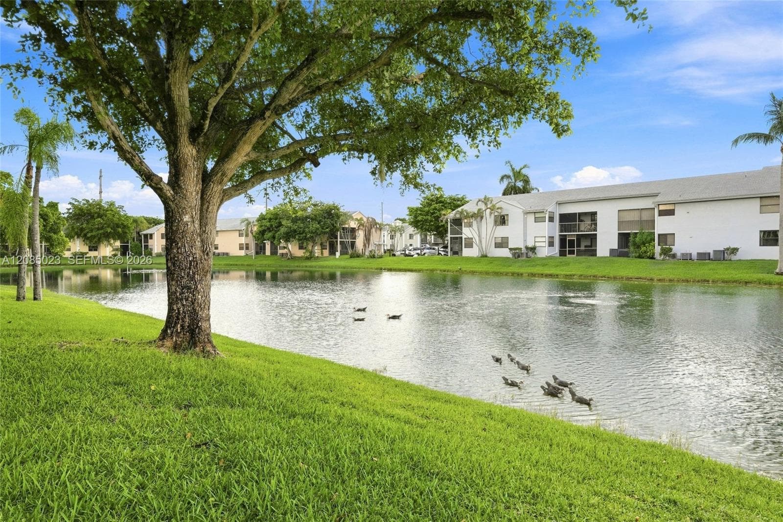 Lakeshore Condo · #1031C in Homestead - Photo 21