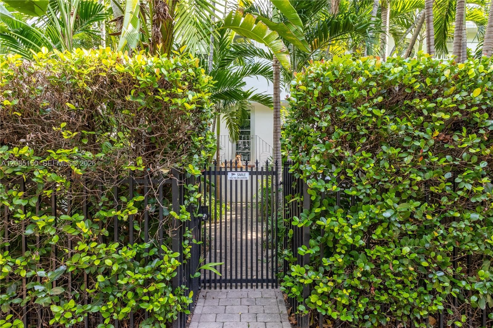 THE DIXON CONDO · #209 in Miami Beach - Photo 13