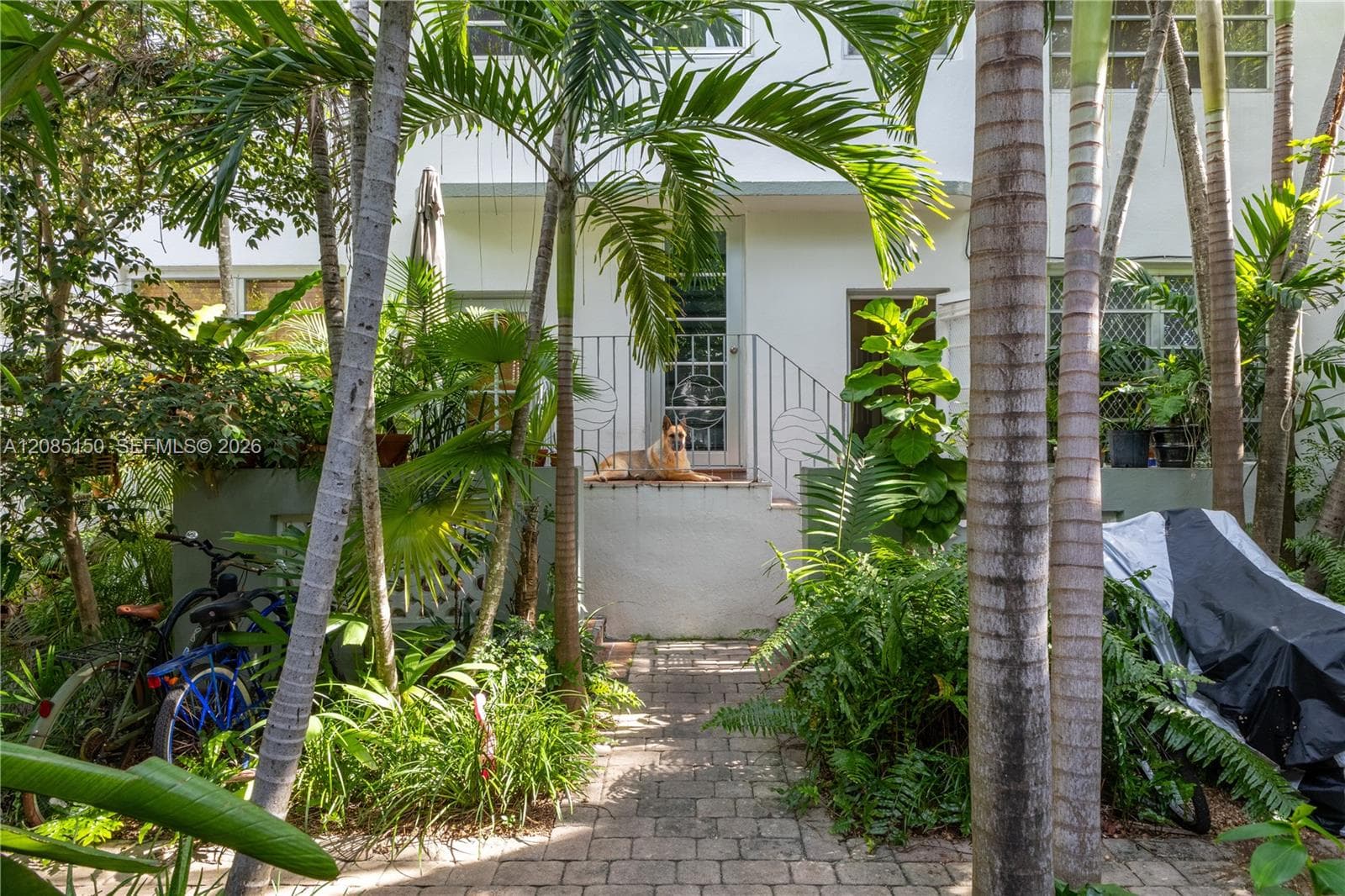 THE DIXON CONDO · #209 in Miami Beach - Photo 14