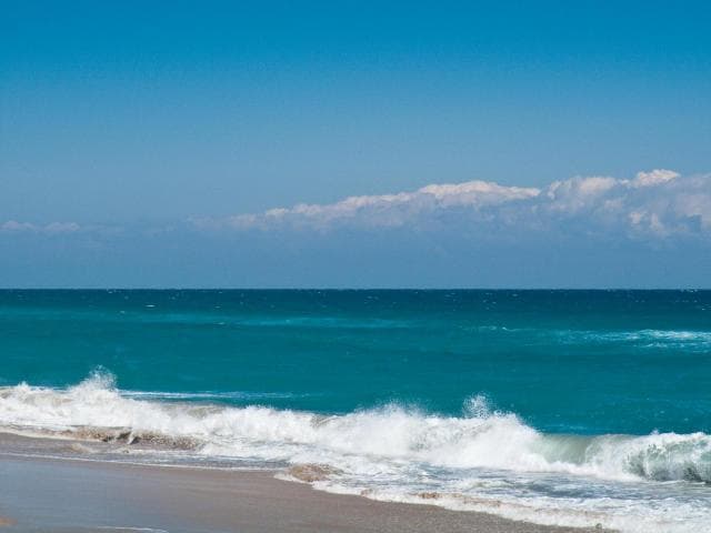 Ocean at the Patrician