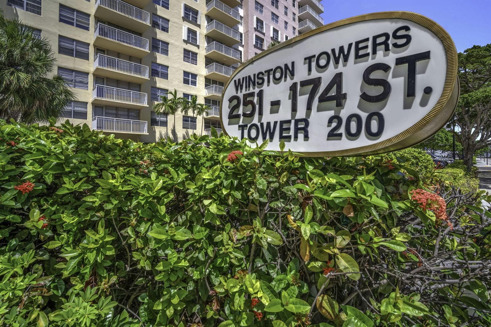 34-web-or-mls-DSC06809