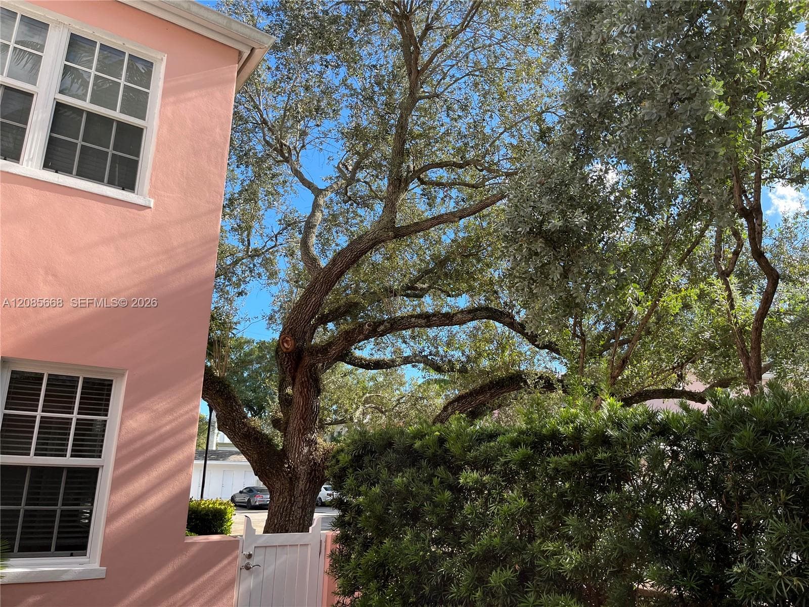 570 Loretto Ave #10 photo 17