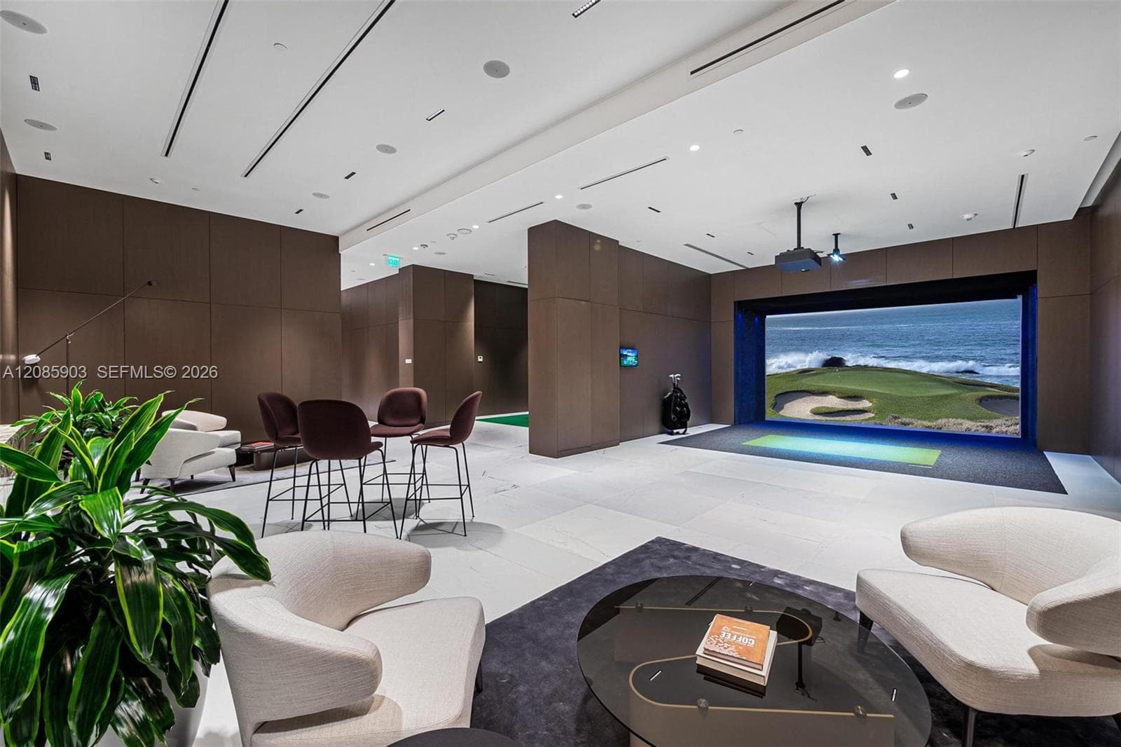 Golf Simulator.